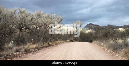 BLUE HAVEN ROAD, lungo Sonoita Creek, a ovest della Patagonia, Az (2 14 12) 01 (6878201363) Foto Stock