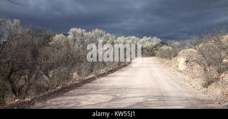 BLUE HAVEN ROAD, lungo Sonoita Creek, a ovest della Patagonia, Az (2 14 12) 02 (6878202227) Foto Stock