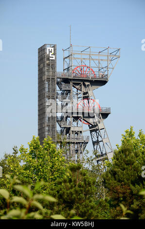 Albero Warszawa - Museo di Slesia a Katowice (Polonia) Foto Stock