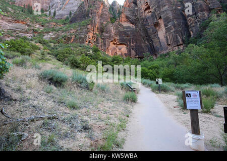 Chiuso Hidden Canyon Trail dal percorso per il Muro del pianto nel Parco Nazionale di Zion Foto Stock