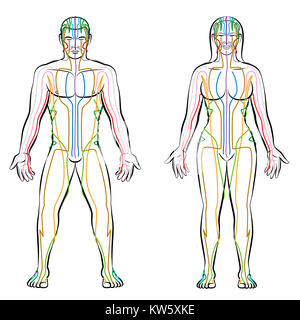Sistema meridiano - colorate meridiani del maschio ed il corpo femmina - terapia alternativa trattamento tcm ed infografico. Foto Stock