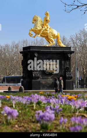 Dresda dei piloti d'oro, Dresden Goldener Reiter Foto Stock