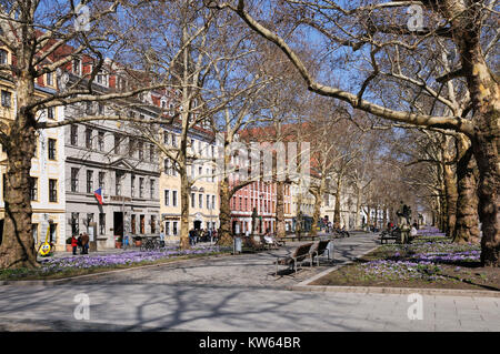 Dresda high street, Dresda Hauptstrasse Foto Stock