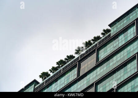 Alberi che crescono in cima a un edificio anonimo grattacielo a Kuala Lumpur, Malesia Foto Stock