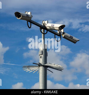 SOUTHEND-ON-SEA, ESSEX, Regno Unito - 27 OTTOBRE 2017: Telecamera di videosorveglianza a circuito chiuso in pole con protezione anti-salita nel Regno Unito Foto Stock