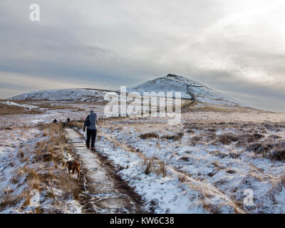 Donna che cammina verso Shutlingsloe hill nella neve il terzo punto più alto nel Cheshire a 506 metri dall'approccio attraverso la foresta a Macclesfield Foto Stock