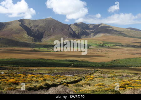 Arazzo di campi e montagne che compongono il paesaggio irlandese Foto Stock