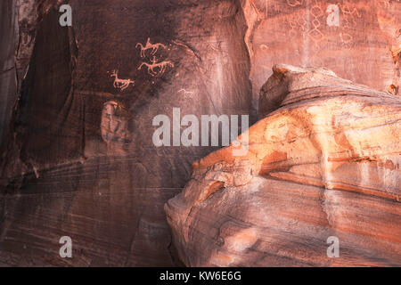 Scolpiti Anasazi incisioni rupestri che rappresentano due piloti del Cavallino la caccia un animale correlati a cervi nel Canyon De Chelly National Monument, Chinle Arizona, Stati Uniti d'America Foto Stock