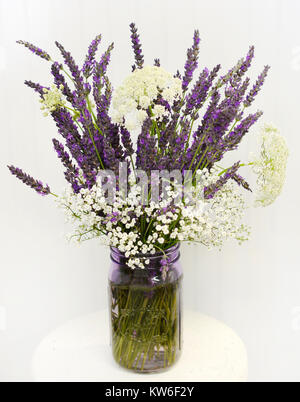 Inscatolando vaso riempito con lavanda, Queen Ann's pizzi fiori selvaggi e bimbo di respiro. Foto Stock