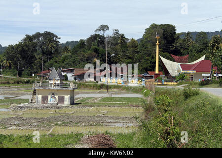 Campo di riso vicino villaggio sull'isola di Samosir in Indonesia Foto Stock