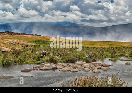 Hippopool nel paesaggio di Ngorongoro Conservation Area, sito patrimonio mondiale dell'UNESCO, Tanzania Africa Foto Stock