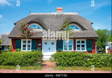 Con tetto di paglia casa di Wieck a Darss, Fischland, Meclemburgo-Pomerania, Mar Baltico, Germania, Europa Foto Stock
