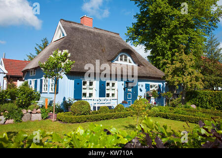 Tipica con tetto di paglia house presso il villaggio nato a Darss, Fischland, Meclemburgo-Pomerania, Mar Baltico, Germania, Europa Foto Stock