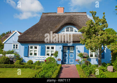 Tipica con tetto di paglia house presso il villaggio nato a Darss, Fischland, Meclemburgo-Pomerania, Mar Baltico, Germania, Europa Foto Stock