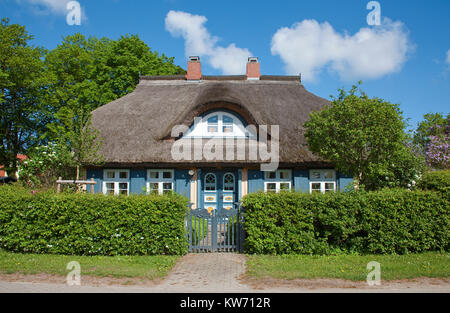 Tipica con tetto di paglia house presso il villaggio nato a Darss, Fischland, Meclemburgo-Pomerania, Mar Baltico, Germania, Europa Foto Stock