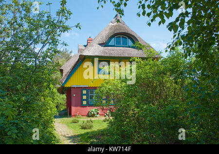 Tradizionale con tetto di paglia casa di Wieck a Darss, Fischland, Meclemburgo-Pomerania, Mar Baltico, Germania, Europa Foto Stock