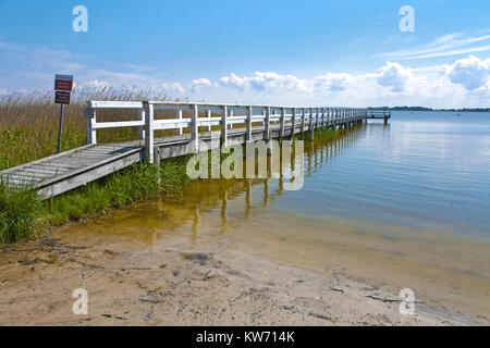 Pontile in legno a Bodstedter Bodden, Wieck a Darss, Fischland, Meclemburgo-Pomerania, Mar Baltico, Germania, Europa Foto Stock