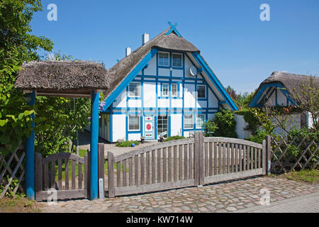 Con tetto di paglia casa a Niehagen, Ahrenshoop, Fischland, Meclemburgo-Pomerania, Mar Baltico, Germania, Europa Foto Stock