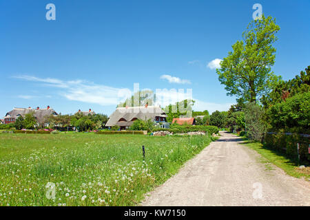 Case col tetto di paglia e prato in Niehagen, Ahrenshoop, Fischland, Meclemburgo-Pomerania, Mar Baltico, Germania, Europa Foto Stock