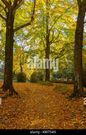 Italien Toskana, Montecatini, Park in der Terme Tettuccio Foto Stock