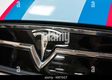 Logo Tesla su una griglia per auto. Tesla Motors, Inc. È un'azienda automobilistica americana e di stoccaggio di energia. Foto Stock