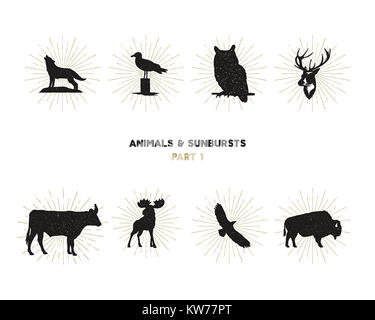 Set di animale selvatico figure e forme con sunbursts isolati su sfondo bianco. Silhouette nera Wolf, cervi, alci, bisonti, Eagle, seagull, mucca, un Foto Stock