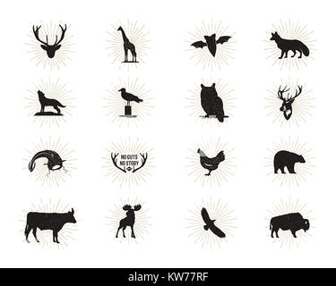 Set di animale selvatico figure e forme con sunbursts isolati su sfondo bianco. Silhouette nera Wolf, cervi, alci, bisonti, Eagle, seagull, mucca, un Foto Stock