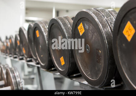 Set di vecchio e utilizzati i pesi pesi su un rack in una palestra. Allenamento equipmen Foto Stock