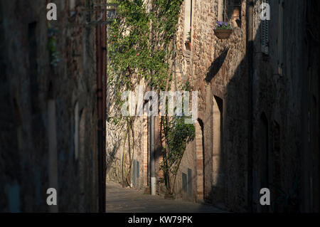 Piccolo borgo Torri, Toscana, Italia 2 Agosto 2016 © Wojciech Strozyk / Alamy Stock Photo Foto Stock