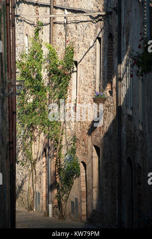 Piccolo borgo Torri, Toscana, Italia 2 Agosto 2016 © Wojciech Strozyk / Alamy Stock Photo Foto Stock