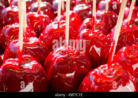 Dolce rosso smaltato toffee candy mele su bastoni per la vendita sul mercato contadino o country fair Foto Stock