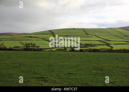 Arazzo di campi e montagne che compongono il paesaggio irlandese Foto Stock