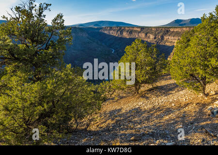 Vista del Rio Grande Gola da La Junta punto nei fiumi selvaggi zona di Rio Grande del Norte Monumento Nazionale vicino a Taos, Nuovo Messico, STATI UNITI D'AMERICA Foto Stock