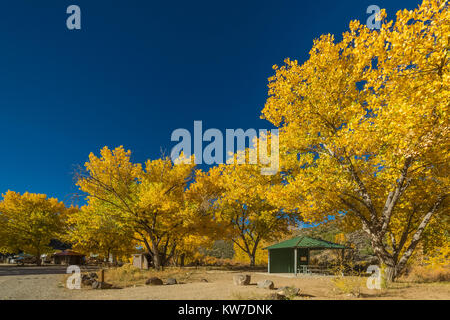 Strutture a Rio Bravo campeggio nel Orilla Verde Area ricreativa, nel Rio Grande del Norte Monumento Nazionale, vicino a Pilar e Taos, Nuovo Messico, US Foto Stock