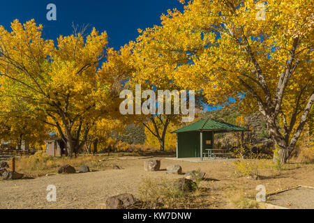 Strutture a Rio Bravo campeggio nel Orilla Verde Area ricreativa, nel Rio Grande del Norte Monumento Nazionale, vicino a Pilar e Taos, Nuovo Messico, US Foto Stock