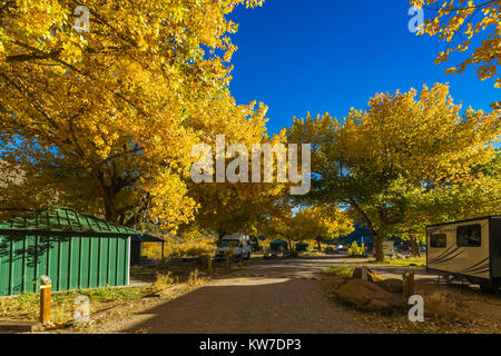 Campeggi con cottonwoods nel colore di autunno a Rio Bravo campeggio nel Orilla Verde Area ricreativa, nel Rio Grande del Norte monumento nazionale, nea Foto Stock