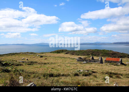 Vecchio edificio in pietra nell'alto prato e campo, l'Irlanda Foto Stock