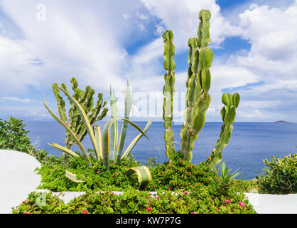 Cactus e piante succulente giardino che si affaccia sul mare Foto Stock