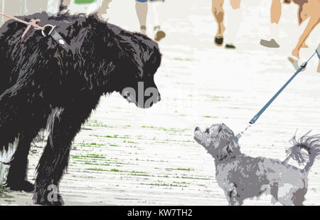 Due cani che si sono riuniti per la prima volta presso il parco - piccolo cane mostra fiducia nonostante la sua piccola dimensione Foto Stock