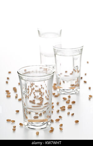 Disco tedesco liquore Grappa alla Korn in bicchierini con grani di grano su sfondo bianco Foto Stock