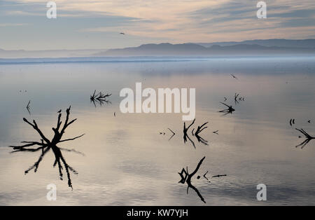 Nel tardo pomeriggio vista attraverso la bellissima Salton Sea, un corpo morente d'acqua. La superficie a specchio che riflette le nuvole,sky, montagne, allagata rami nero. Foto Stock