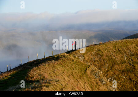 Lone Hillwaker maschio su un crinale tra la montagne del Galles Aran Fawddwy e Drws Bach nel Snowdownia Parco nazionale del Galles, UK. Foto Stock