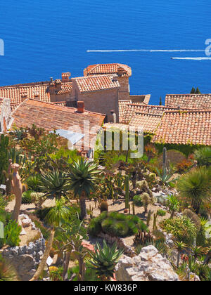 Le Jardin Exotique d'Eze / Giardino dei Cactus - Nizza, Francia Foto Stock