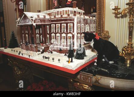 Calze il gatto del primo animale domestico del presidente Bill Clinton e la prima moglie Hillary Rodham Clinton, con pelo nero, volto bianco, ambra occhi e nastro rosso collare, posatoi su un tavolo di granito accanto a una grande gingerbread replica della Casa Bianca, circondata da varie decorazioni vacanze, Washington, Distretto di Columbia, 5 dicembre 1993. Foto Stock