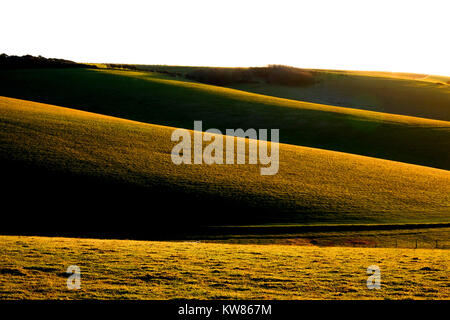 Sussex colline, la luce è bassa la colata alte luci e ombre su delle colline, bagliore dorato dal sole basso Foto Stock