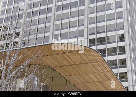 Chicago, Stati Uniti d'America. Il 31 dicembre 2017. Segnali di avvertimento i passanti di caduta di ghiaccio sono sul display intorno alla nuova ammiraglia Apple Store di North Michigan Avenue, vicino al fiume Chicago. L'edificio, progettato da architetti britannici Foster + Partner, ha un tetto di forma simile a quella del coperchio di un computer portatile Apple e sembra mancare visibile grondaie. Ghiaccioli che si sono formate nella corrente a temperature sotto lo zero sono caduto a terra al di sotto di pericolo per il pubblico e il negozio è attualmente rivolto critiche dai locali di sviluppare una soluzione. Credito: Stephen Chung / Alamy Live News Foto Stock