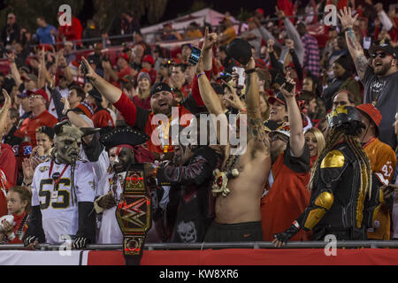 Baia di Tampa, Florida, Stati Uniti d'America. 31 Dic, 2017. Dicembre 31, 2017 - Tampa Bay Buccaneers tifosi festeggiare dopo la vittoria 31-24 sopra New Orleans Saints presso Raymond James Stadium domenica 31 dicembre 2017 a Tampa, in Florida. Credito: Travis Pendergrass/ZUMA filo/Alamy Live News Foto Stock