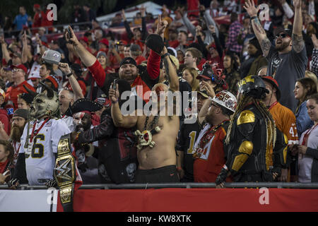 Baia di Tampa, Florida, Stati Uniti d'America. 31 Dic, 2017. Dicembre 31, 2017 - Tampa Bay Buccaneers tifosi festeggiare dopo la vittoria 31-24 sopra New Orleans Saints presso Raymond James Stadium domenica 31 dicembre 2017 a Tampa, in Florida. Credito: Travis Pendergrass/ZUMA filo/Alamy Live News Foto Stock