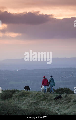 Flintshire, Galles, 1 gennaio 2018, UK Meteo. Un avvio a freddo nel tempo ventoso oggi sulla montagna Halkyn, Flintshire all inizio del nuovo anno come un paio di signore prendono i loro cani per un inizio di mattina sunrise a piedi vicino al villaggio di Rhosesmor © DGDImages/Alamy Live News Foto Stock