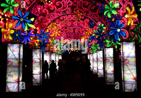 Wuhan, la Cina della provincia di Hubei. 1a gen, 2018. Le persone godono di lanterne di festa nella città di Wuhan, Cina centrale della provincia di Hubei, 1 gennaio, 2018. Credito: Cheng Min/Xinhua/Alamy Live News Foto Stock